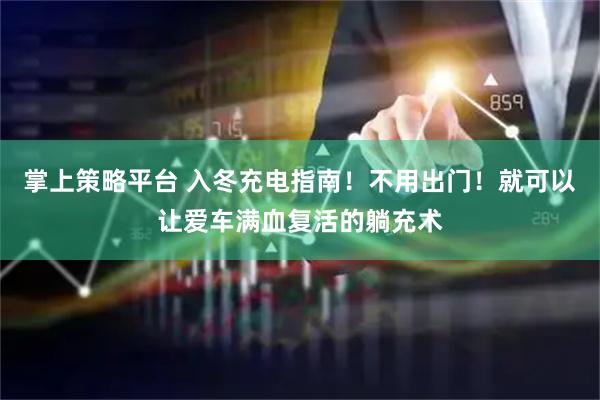 掌上策略平台 入冬充电指南！不用出门！就可以让爱车满血复活的躺充术